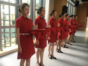 禮承師道，儀展風(fēng)華——旅游系風(fēng)尚禮儀社傾情服務(wù)全市第34個(gè)教師節(jié)座談會(huì)